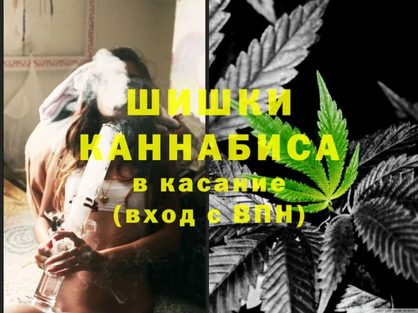 крисы Аркадак