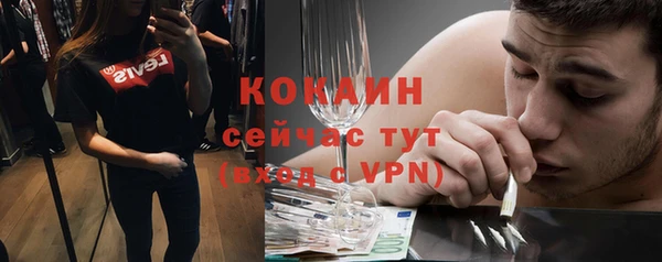 крисы Аркадак