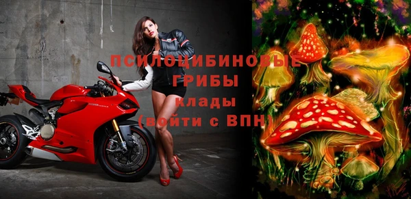 спиды Арсеньев