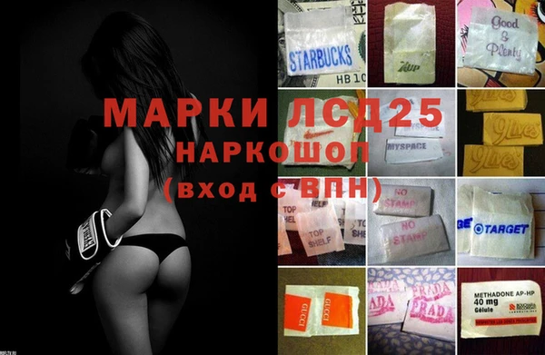 крисы Аркадак