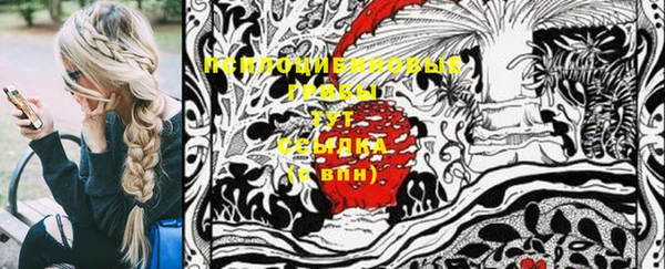 крисы Аркадак